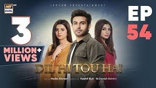 Dil Hi Tou Hai Episode 54  Ali Ansari  Zoya Nasir  30 Nov 2023  ARY Digital [upl. by Hallock]