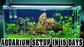 Aquarium Setup in 15 Days  Aquascape  Live Planted Fish Tank [upl. by Longley]