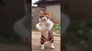 Lol Cats Dancing Bike Sound😂😂shorts art entertainment funny [upl. by Buna]