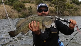 Yet Another AWESOME Session Chasing Murray Cod and Yellowbelly At Melton Reservoir [upl. by Brie]