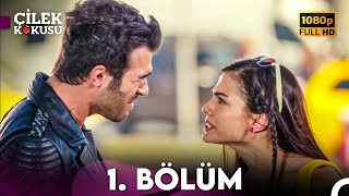 Çilek Kokusu 1 Bölüm FULL HD [upl. by Aeneg752]