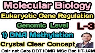 Eukaryotic Gene RegulationL3Mechanism of gene Regulation by DNA Methylation in EukaryotesCsirnet [upl. by Margret]