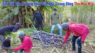 Lindo  Vào Bản Bác Trưởng Thôn Anh Quang Dũng Thu Mua Mía [upl. by Toombs45]