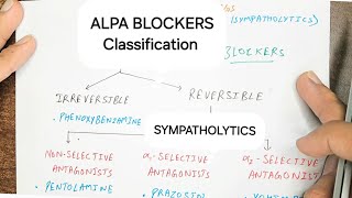 Alpha blockers Classification  Antiadrenergic Drugs  Pharmacology [upl. by Aniwde]