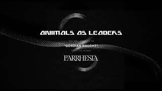 ANIMALS AS LEADERS  Gordian Naught Official Audio Stream [upl. by Hajidahk]