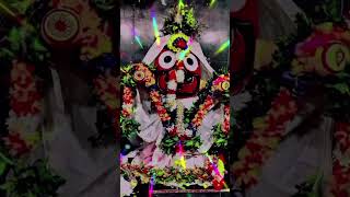 he chaka akhi chakra dhari viralvideo shortvideo jayshreekrishna jayjagannath [upl. by Arodal751]