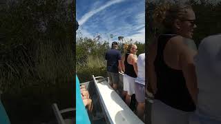 Everglades Airboat [upl. by Mady]