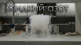 Жидкий азот  Подборка экспериментов с жидким азотом Физика Химия [upl. by Adev]