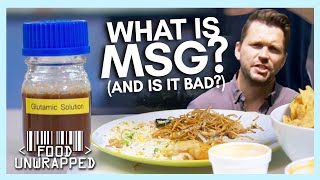 What is actually inside MSG and is it Safe  Food Unwrapped [upl. by Gore]