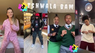 The Best Of Tshwala Bam Amapiano Tiktok Dance Compilation [upl. by Merdith]