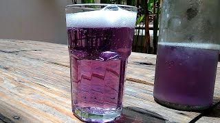 How to make Purple Ginger Beer homemade  Beginners Guide to Brewing Beer at Home  Alcoholic Beer [upl. by Busey]