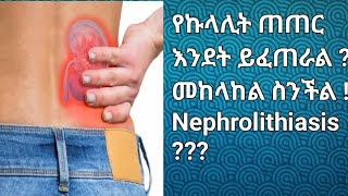 What is Nephrolithiasis  የኩላሊት ጠጠር ምንድን ነው  መከላከል ስንችል [upl. by Yancy240]