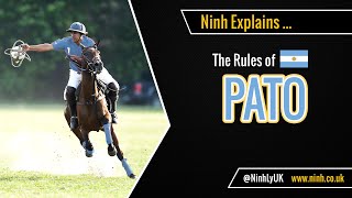 The Rules of Pato Horseball  EXPLAINED [upl. by Mora]