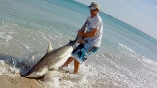 Blacktips Are Dangerous Compilation  Best of BlacktipH [upl. by Jacenta]