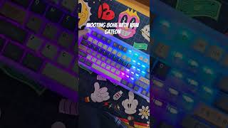 Wooting 80HE with RAW GATEON switches keyboard keycaps 80he gamingkeyboard wooting [upl. by Hnamik]