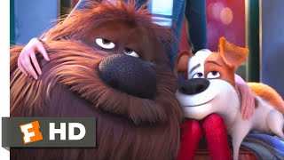 The Secret Life of Pets Pops’ Place HD CLIP [upl. by Lekkim]