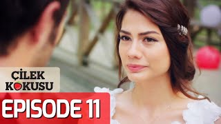 Strawberry Smell  Full Episode 11 English Subtitles  Cilek Kokusu [upl. by Cleopatra]