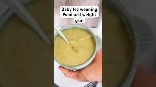 The Best Baby Food Rice and Veggies Purée [upl. by Ahseenat]