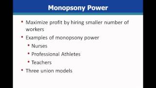 Microeconomics Wage Determination default [upl. by Enelrihs6]