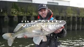 Daiwa  PROREX AGS SPINNING [upl. by Sulakcin72]