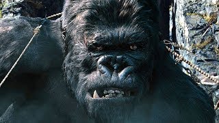 Capturing Kong Scene  King Kong 2005 Movie Clip HD [upl. by Richardson206]