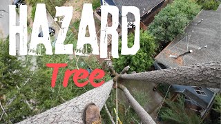 Power Line ClearanceCabling And Bracing Certified Arborist [upl. by Schram]