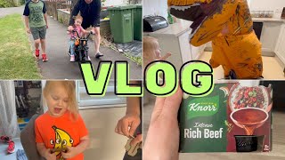 CHAOS GŁUPAWKA I SZALEŃSTWO 🤣 WEEKLY VLOG [upl. by Airehtfele]