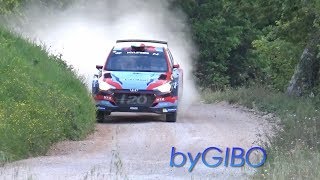 26° Rally Adriatico 2019 [upl. by Grimona]