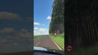 ApucaranaPr Alguém já passou por essa estrada joellmaaj [upl. by Elvin]