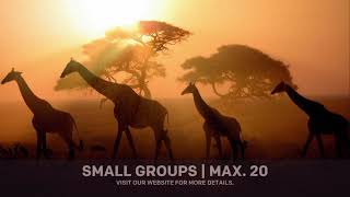 The Small Group Touring Specialist [upl. by Heron]