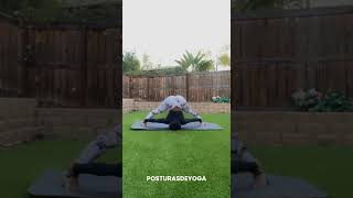 Flexibilidade Fácil Alongamento Yoga [upl. by Drofiar477]