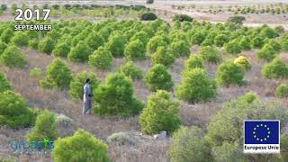 Reforestation antidesertification in Los Monegros Desert Zaragoza Spain with Groasis [upl. by Cally]