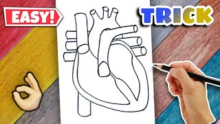 Heart Diagram  Easy Class 10 [upl. by Ennair280]