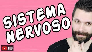 SISTEMA NERVOSO  FISIOLOGIA  Aula  Biologia com Samuel Cunha [upl. by Dressler]