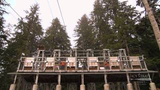 Icy Strait Point ZipRider Worlds Largest Zipline [upl. by Alika398]