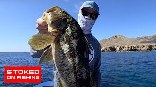 Stoked to Be Back in Cedros Island Calico Bass Fishing [upl. by Janaye]