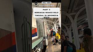 Reaksi Bule Tinggal Di Indonesia Pohon Besar Bikin Kesurupan⁉️ reaksibule shorts viralvideo [upl. by Nered]