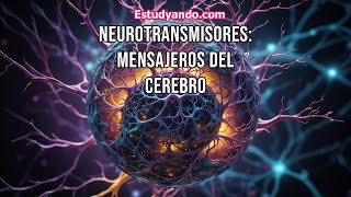 Neurotransmisores Mensajeros del cerebro [upl. by Ibmat]