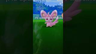 4 MINCCINO SHINY😮2020 pokemongo [upl. by Timus884]