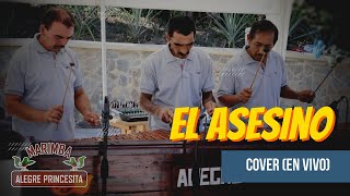 El Asesino  cover Marimba Alegre Princesita en vivo [upl. by Moynahan]