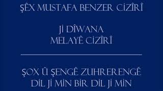 Şox û Şengê Zuhrerengê — Şêx Mustafa Cizîrî — MELAYÊ CİZÎRÎ [upl. by Helbonnah]