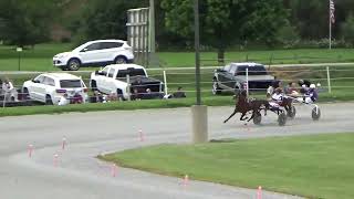 2024 Midwestern Classic 3yo Colt Trot Final Red Rascal Wins in 1121 [upl. by Rafaj686]