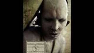 Sopor Aeternus amp The Ensemble Of Shadows  The Dreadful Mirror [upl. by Ahsemrac]