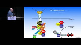 SIGNALDEPENDENT REGULATION OF NFKB ACTIVITY [upl. by Olodort]