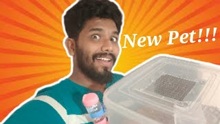 Bought a new hamster  How to tame a hamster tamil  Hamster buying in tamil [upl. by Michel945]