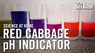 The Sci Guys Science at Home  SE2  EP4 Red Cabbage pH Indicator  Acid Base Indicator [upl. by Monto]