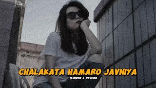 Chalakata Hamaro Jawani  slowed  reverb  Bhojpuri Lofi trending [upl. by Ahsirak256]