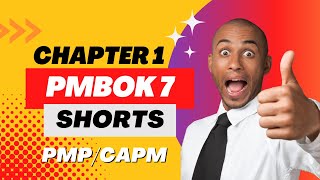 PMBOK 7  Chapter 3 Summary for PMP and CAPM 2023 Principles 1 [upl. by Urbani]