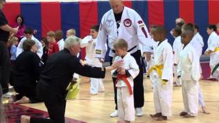 Wado Ki Karate Board Breaking Clinic [upl. by Kcinnay929]