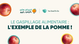 Lexemple de la pomme  les causes du gaspillage alimentaire  Mon École Anti Gaspi 👩‍🎓​ [upl. by Vasili124]